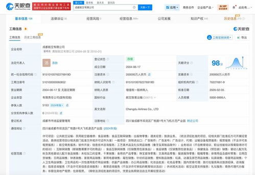 成都航空增資至20億 以信息技術咨詢服務為翼，展翅高飛
