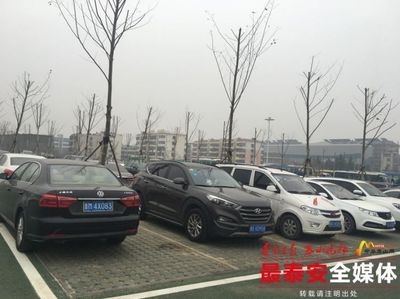 泰安春節(jié)期間生態(tài)停車場暖心服務(wù)獲游客點(diǎn)贊